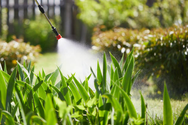 24/7 Emergency Wasp Removal experts in Budd Lake, NJ