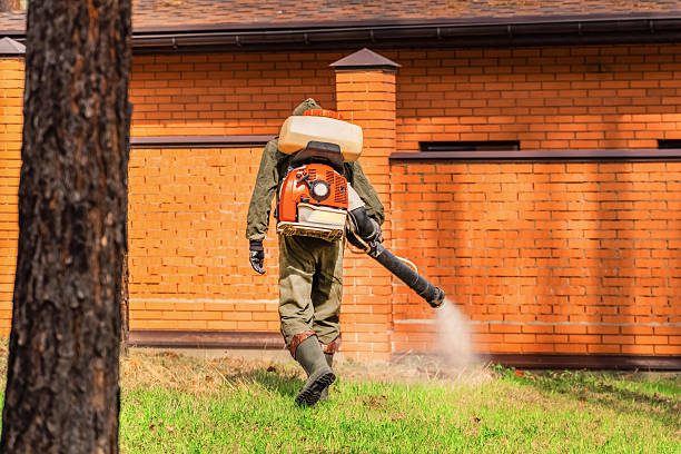 Top rated local Wasp Removal specialists in Budd Lake, NJ